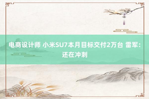 电商设计师 小米SU7本月目标交付2万台 雷军：还在冲刺